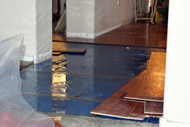 Professional Burst Pipe Cleanup technician working in Selden, NY